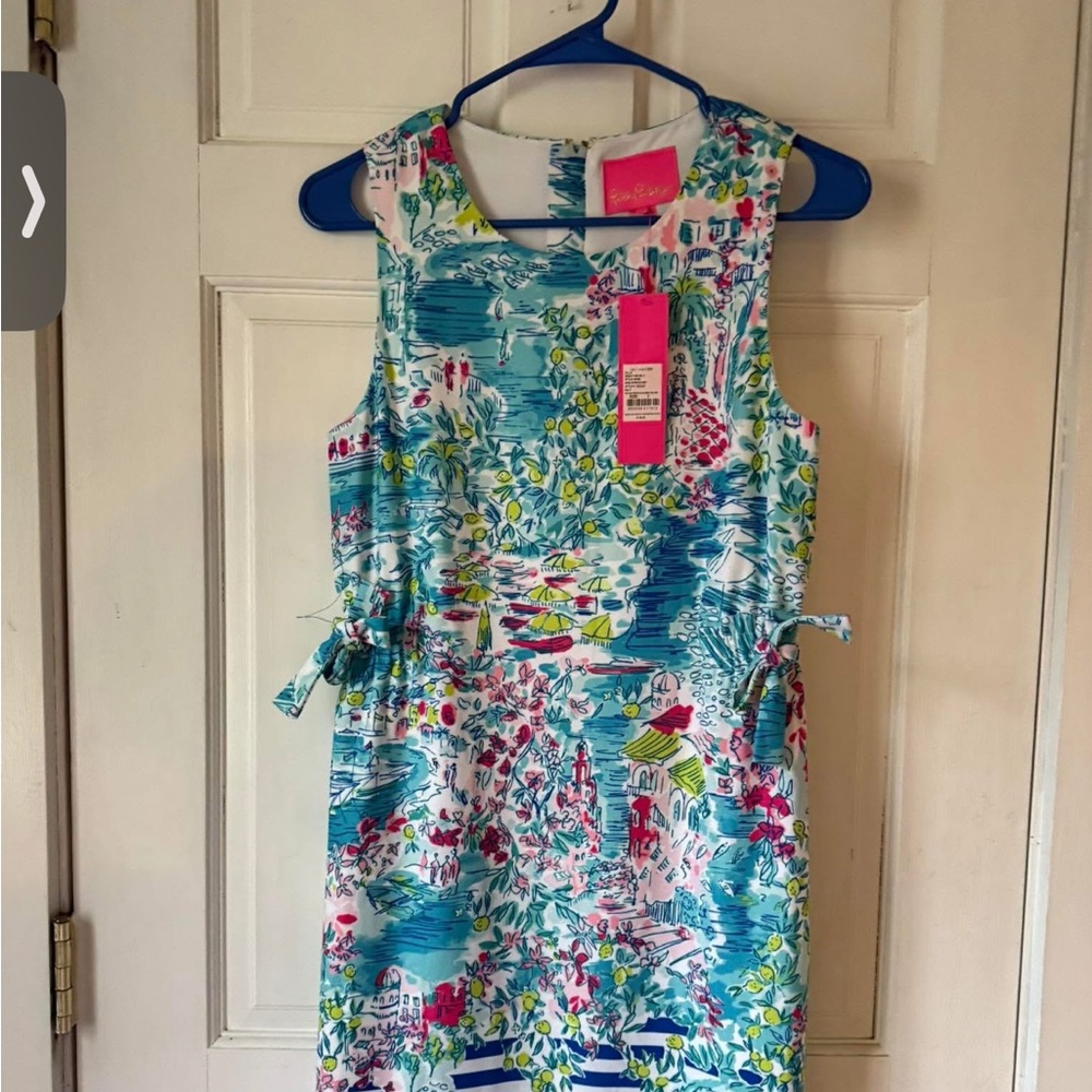 Lilly Pulitzer Blue and Pink Mini Dress